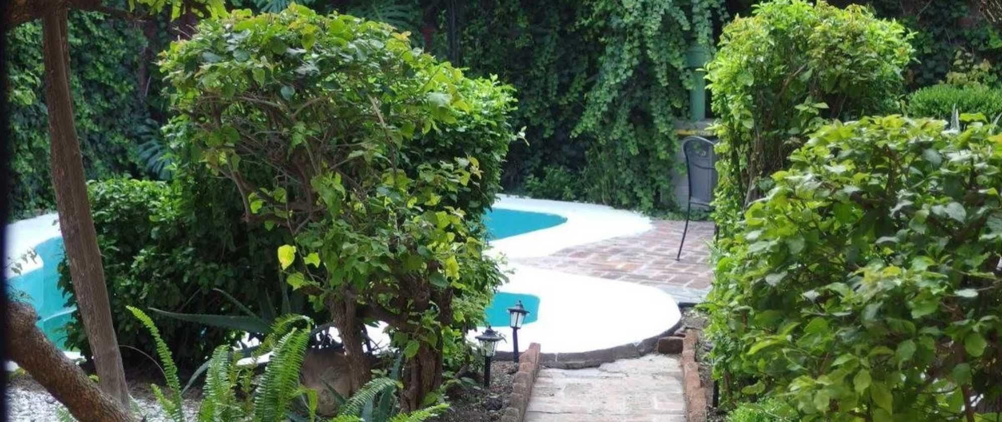 Casa De Las Conservas Comfort San Miguel de Allende Eksteriør billede