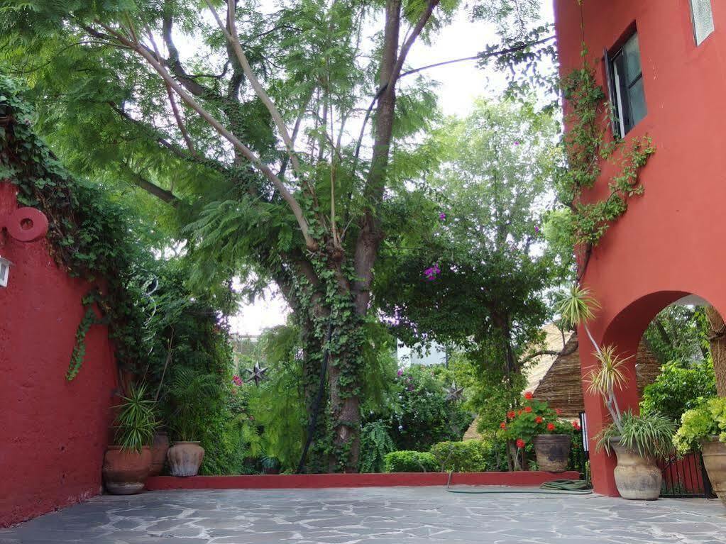 Casa De Las Conservas Comfort San Miguel de Allende Eksteriør billede